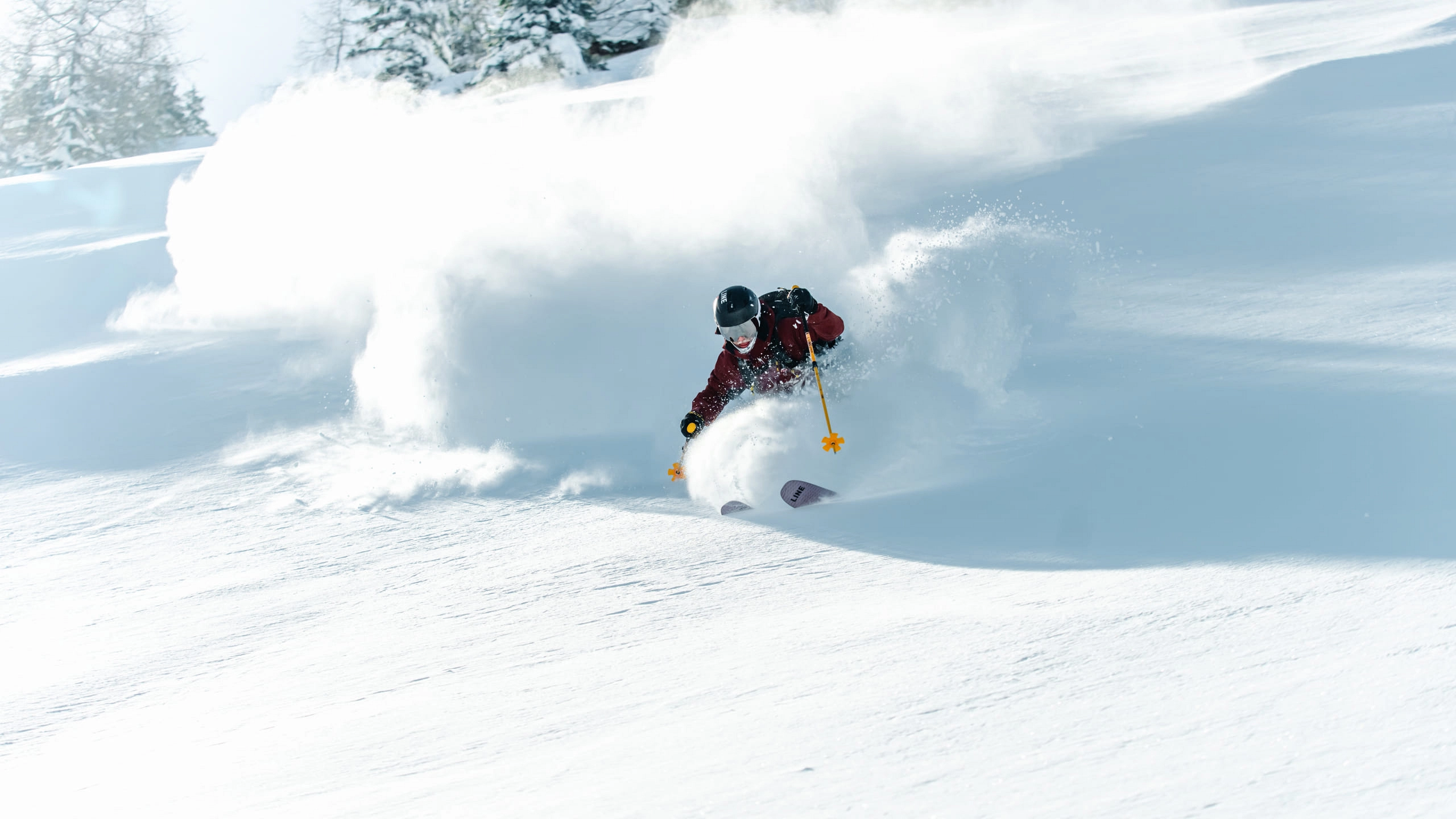 Skifahrer in Aktion auf einer verschneiten Piste mit Pulverschnee
